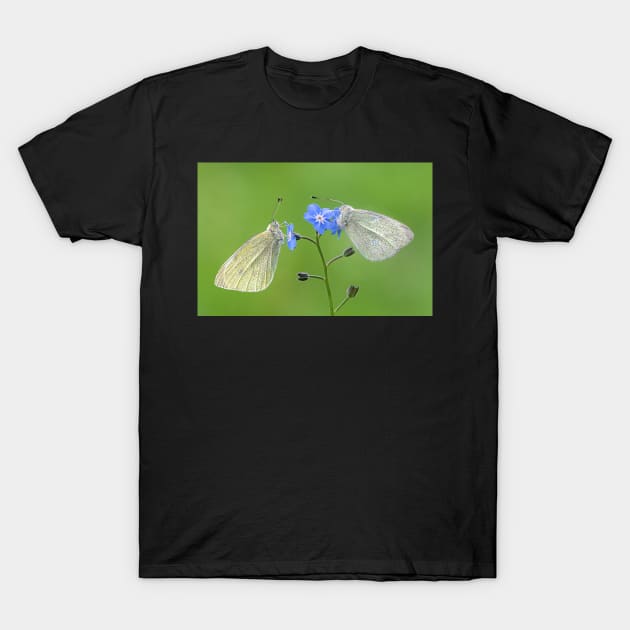 Two Small White Butterflies on a Forget-me-not Flower T-Shirt by TonyNorth